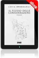 E-book - Il flusso delle considerazioni