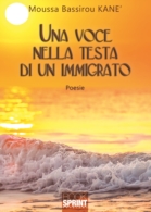 Una voce nella testa di un immigrato